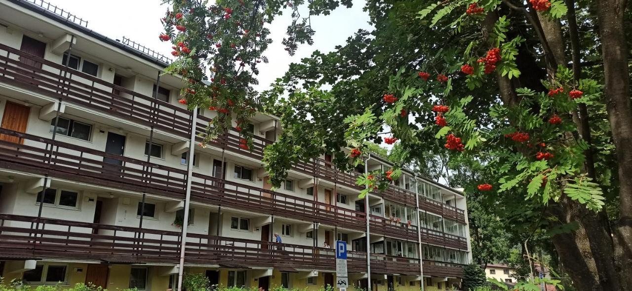 Retrospekcja - Apartament W Centrum ซาโกปาเน ภายนอก รูปภาพ